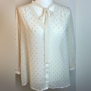 Adorable sheer blouse. Size XL.